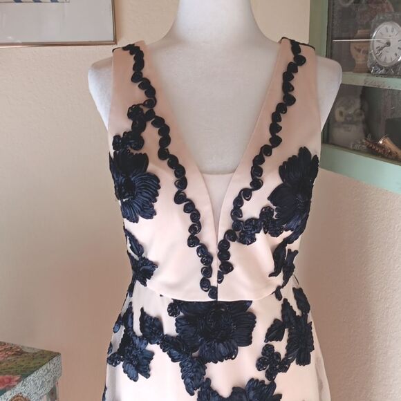 Nicole Miller Soft Blush Dress With RIbbon Embroidery Applique.Old Money.Elegant - Picture 3 of 16